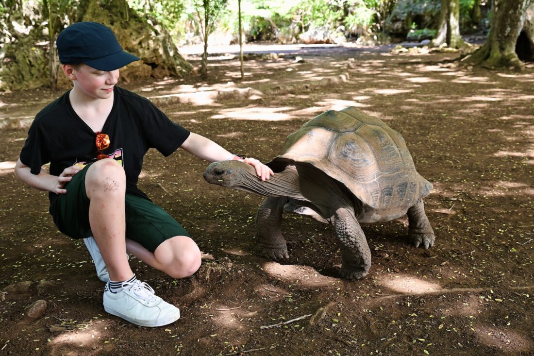 Ein unvergesslicher Tag im Schildkrötenreservat von Rodrigues