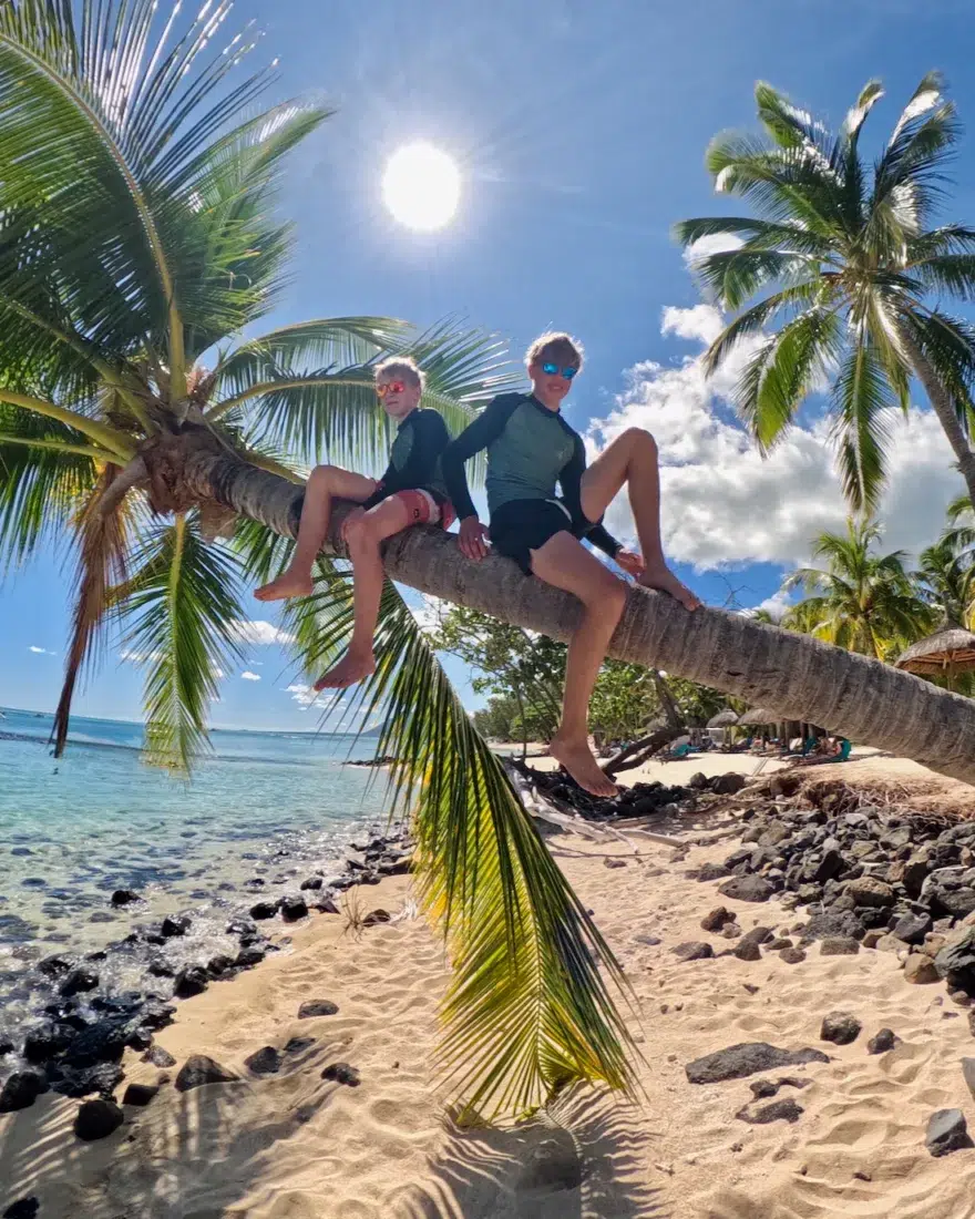 Flo und Ben auf einer Palme