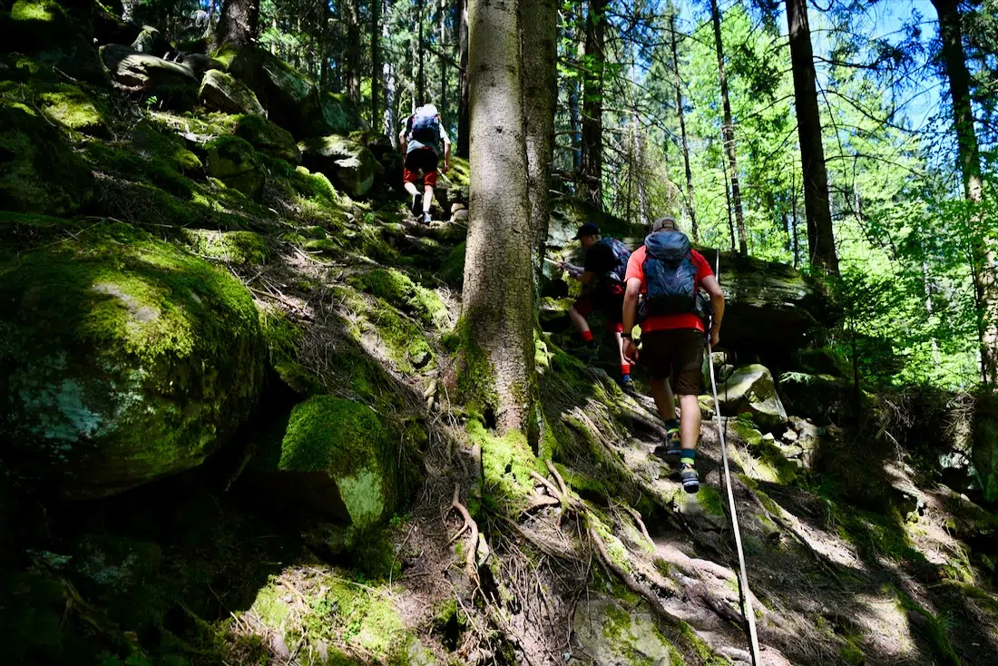 Fravely auf dem ALBTAL.Abenteuer.Track im Schwarzwald