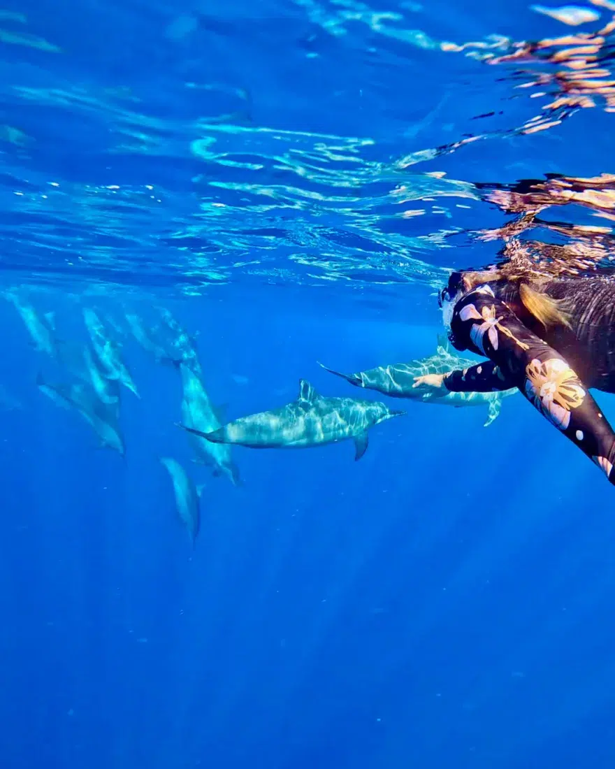 Melanie schnorchelt mit Delfinen