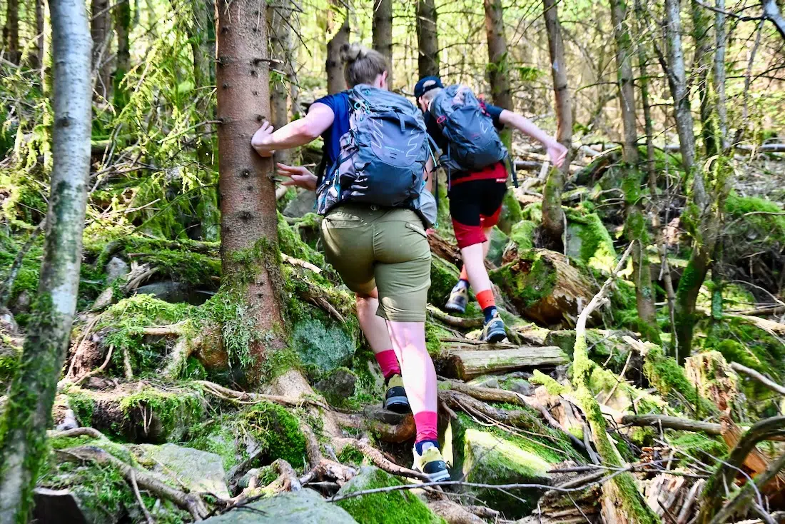 Melanie und Ben auf dem ALBTAL.Abenteuer.Track im Schwarzwald