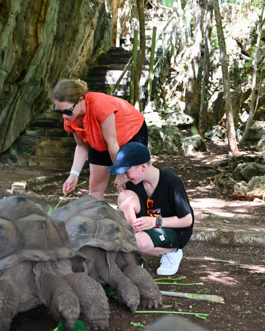 Melanie und Ben füttern die Schildkröten