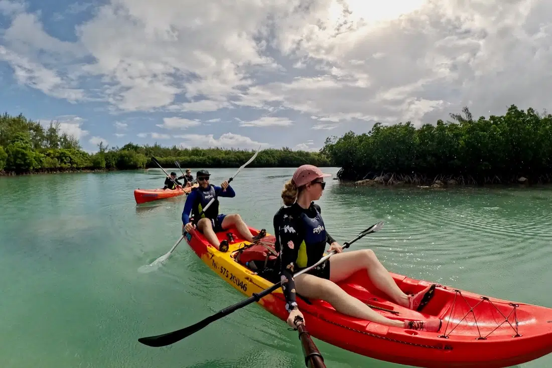 Mit dem Kajak durch die Mangroven der Iles D’Ambres
