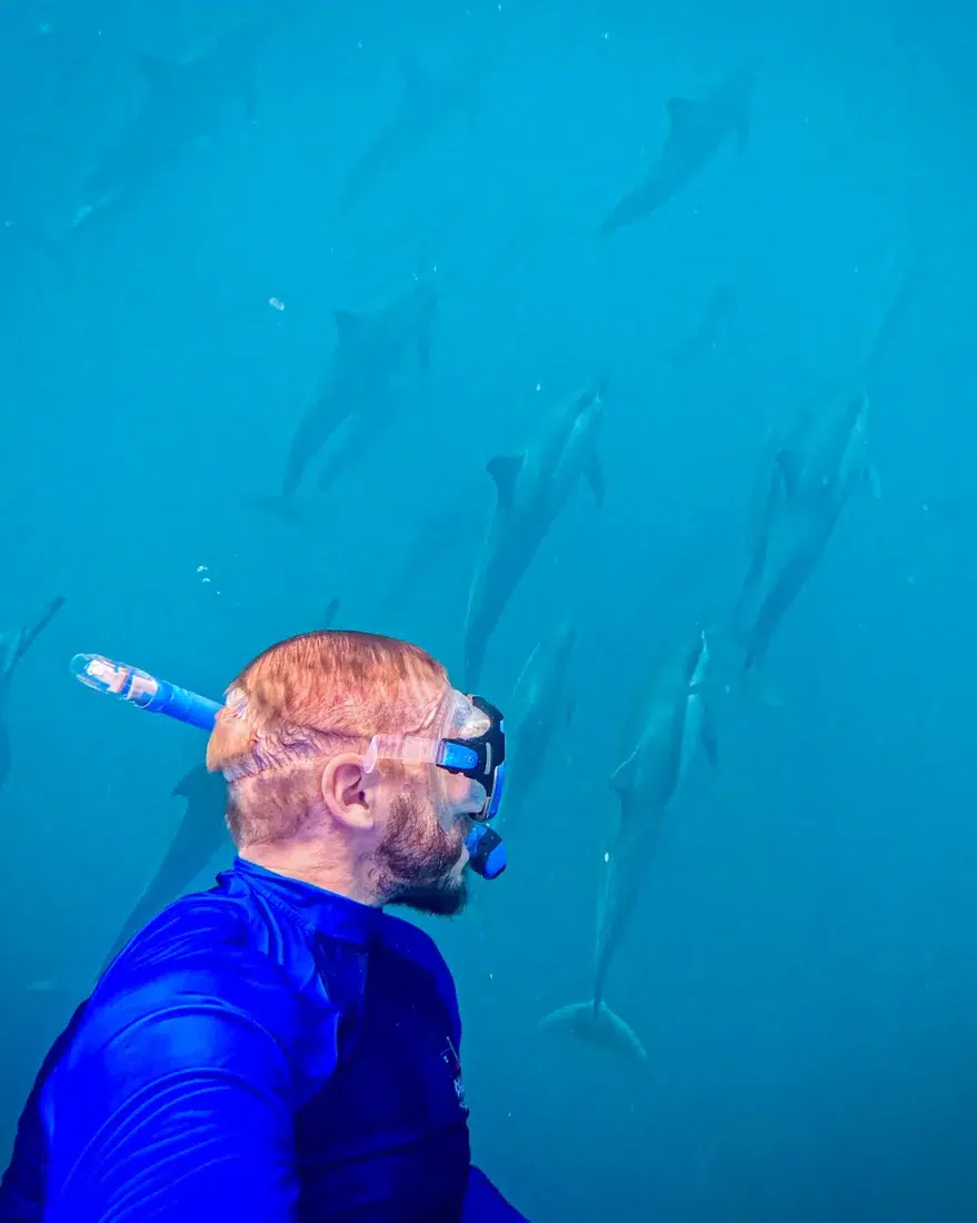 Thomas schwimmt mit den Delfinen auf Maurtitius