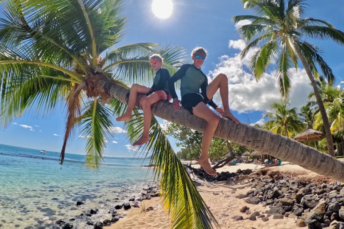 Flo und Ben auf der Palme im Paradis Beachcomber Golf Resort & Spa