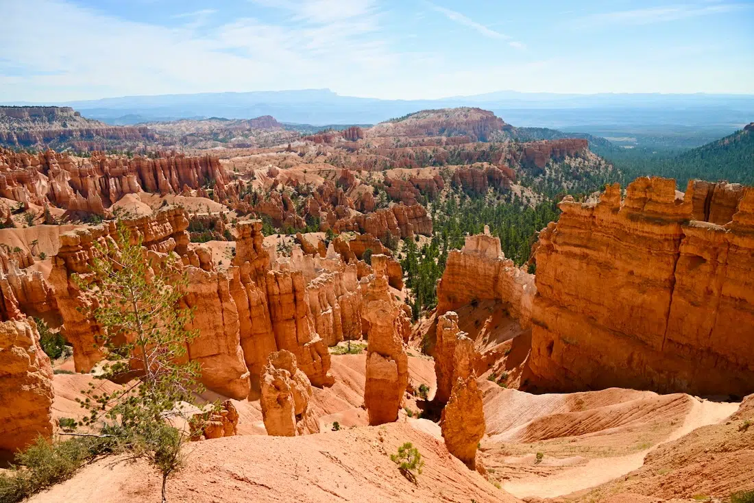 Der Bryce National Park in den USA