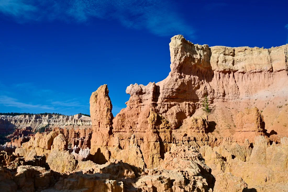 Felsen im Brace National Park in Utah USA