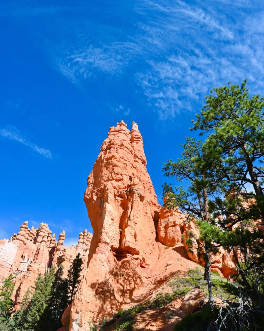 Felsen im Bryce NAtional PArk in den USA