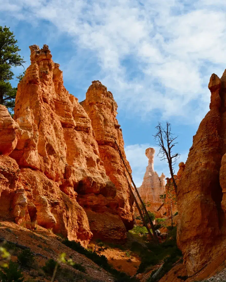 Felsen im Bryce in Utah
