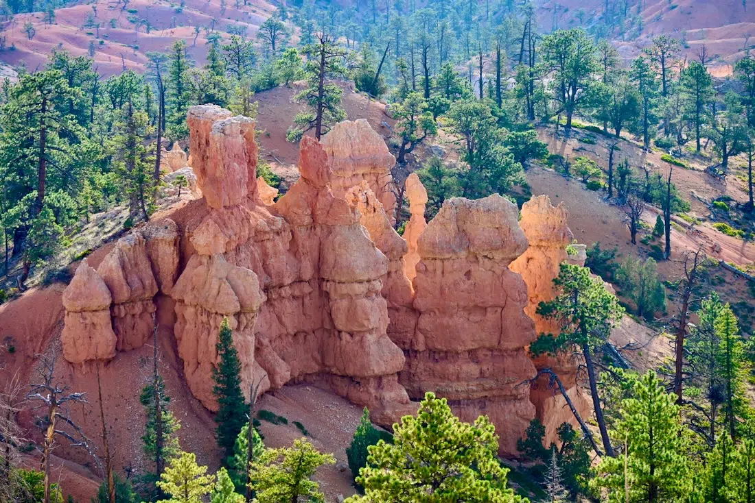 Felsformation im Brace Canyon