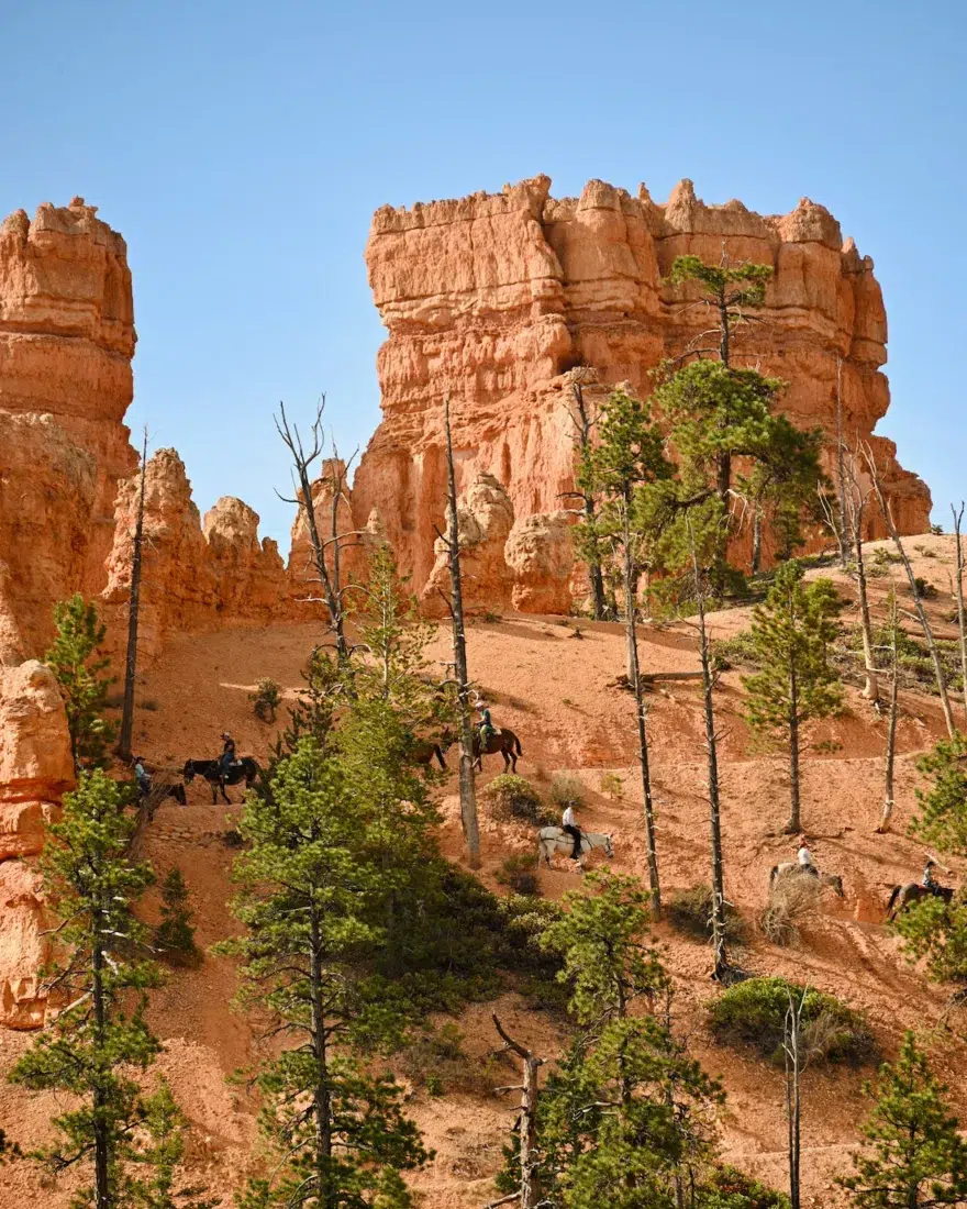 Reiter im Bryce Canyon