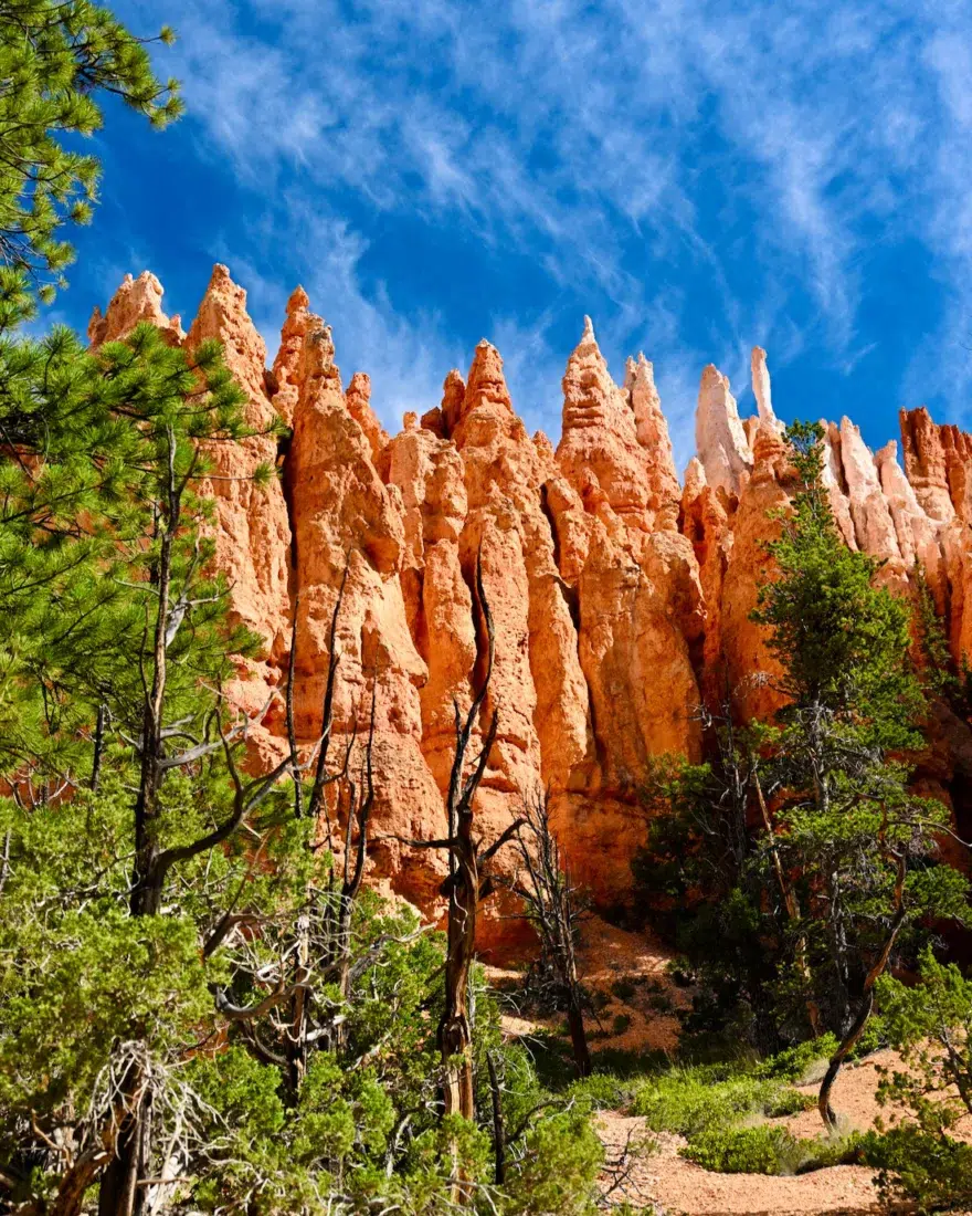 Spitze rote Felsen im Bryce Canyon in Utah