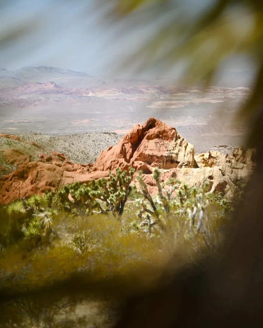 Das im Gold Butte Monument Valley