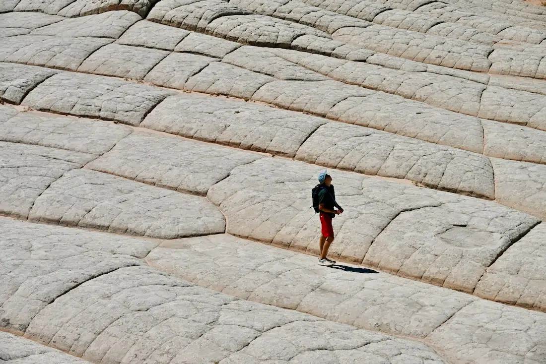 Flo läuft auf dem White Pocket im Vermilion Cliffs National Monument