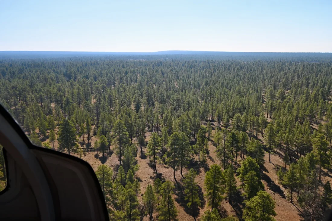 Flug mit dem Papillon Helicopter