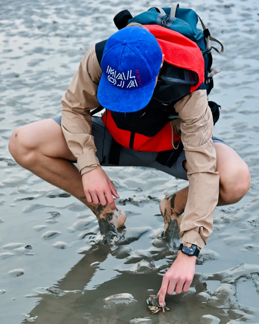 Flo sucht den Wattwurm im Watt