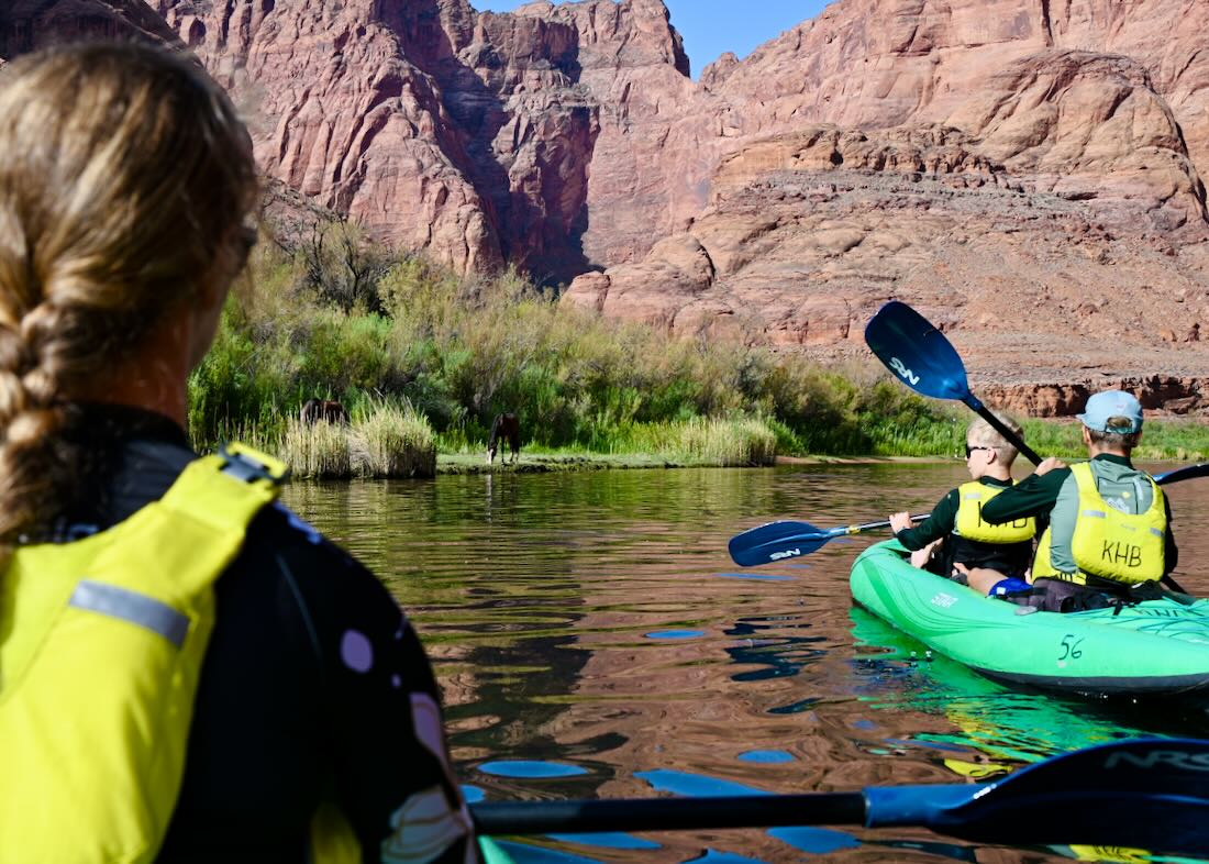 Flo, Ben und Melanie paddeln im Colorado River und sehen Wildpferd am Ufer