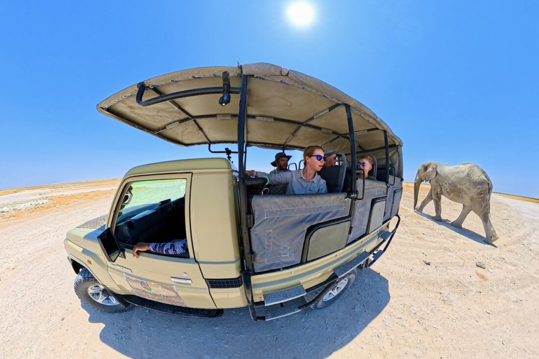 Auf Safari im Etosha Nationalpark – Begegnungen mit Löwen, Elefanten und Giraffen