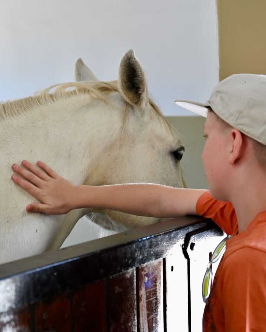 Ben streichelt Pferd vom Midgard von O&L Leisure