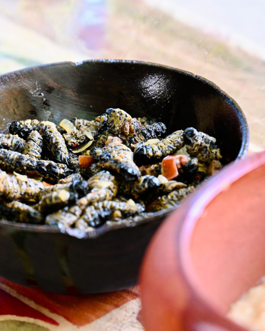 Mopane Raupen in Wundhoek im Pepata