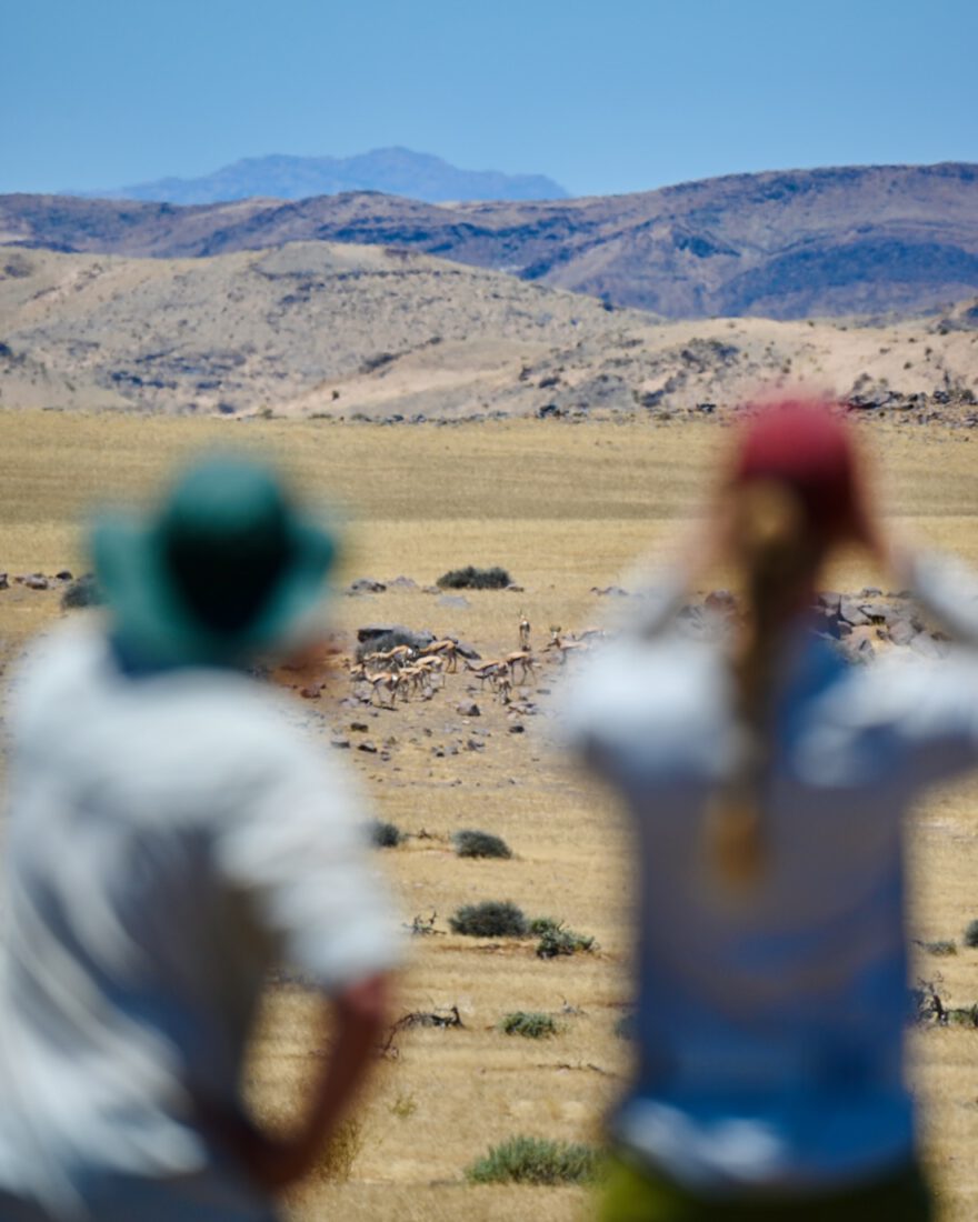 Thomas und Melanie beobachten Springböcke