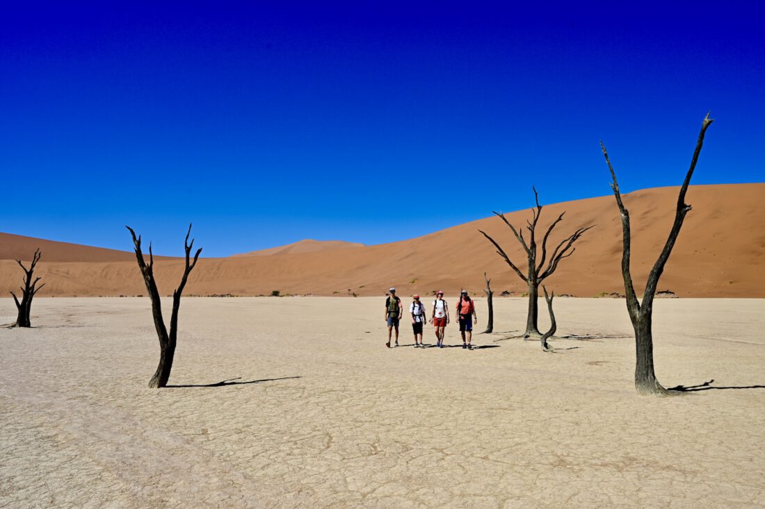 Warum Familien Namibia lieben | Unser kompletter Roadtrip von Sossusvlei über Damaraland bis Etosha