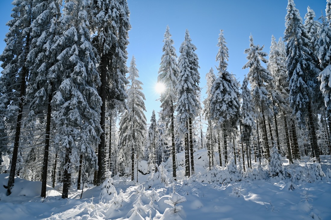 Das Fichtelgebirge im Winter