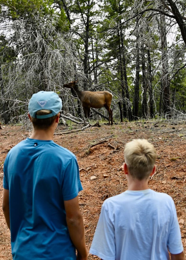 Flo und Ben stehen bei Wapiti am Grand Canyon National Park