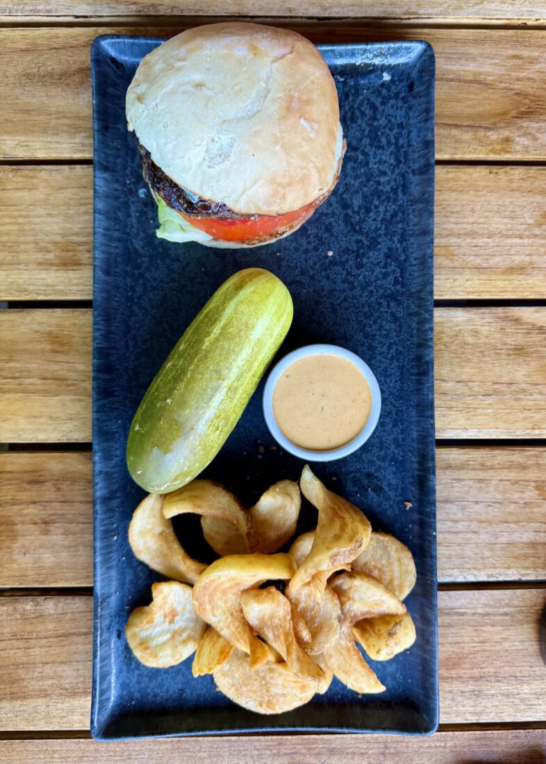 Hauptgericht im Black Sage Restauratn vom Open Sky Zion