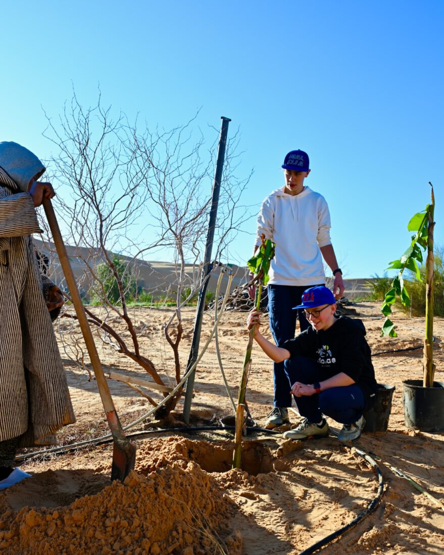 Ben und Flo pflanzen eine Banane in die Wüste in Tunesien im Camp Abdemoula