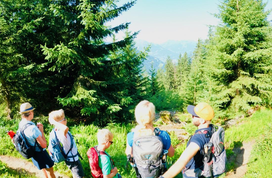 Aufblick auf die Alpen im Montafon