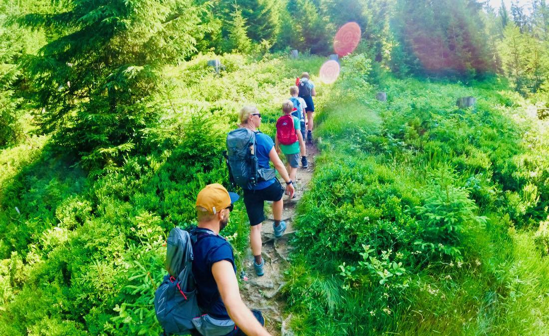 Aufstieg zum Muttjöchle im Wald