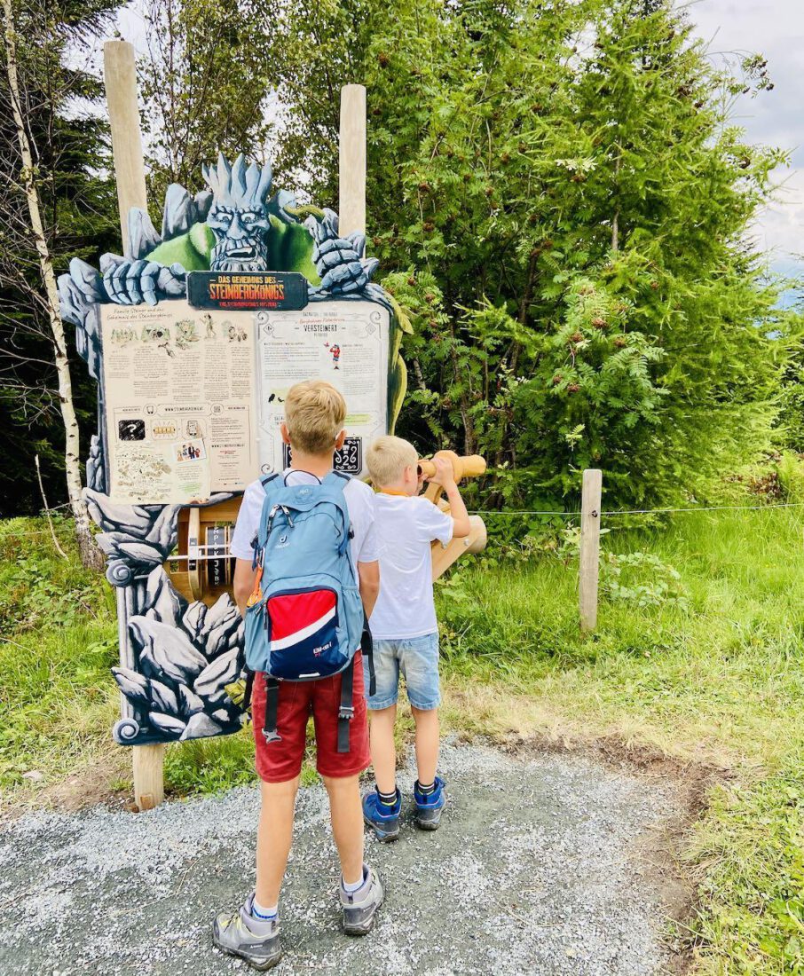 Das Geheimnis des Steinbergkoenigs