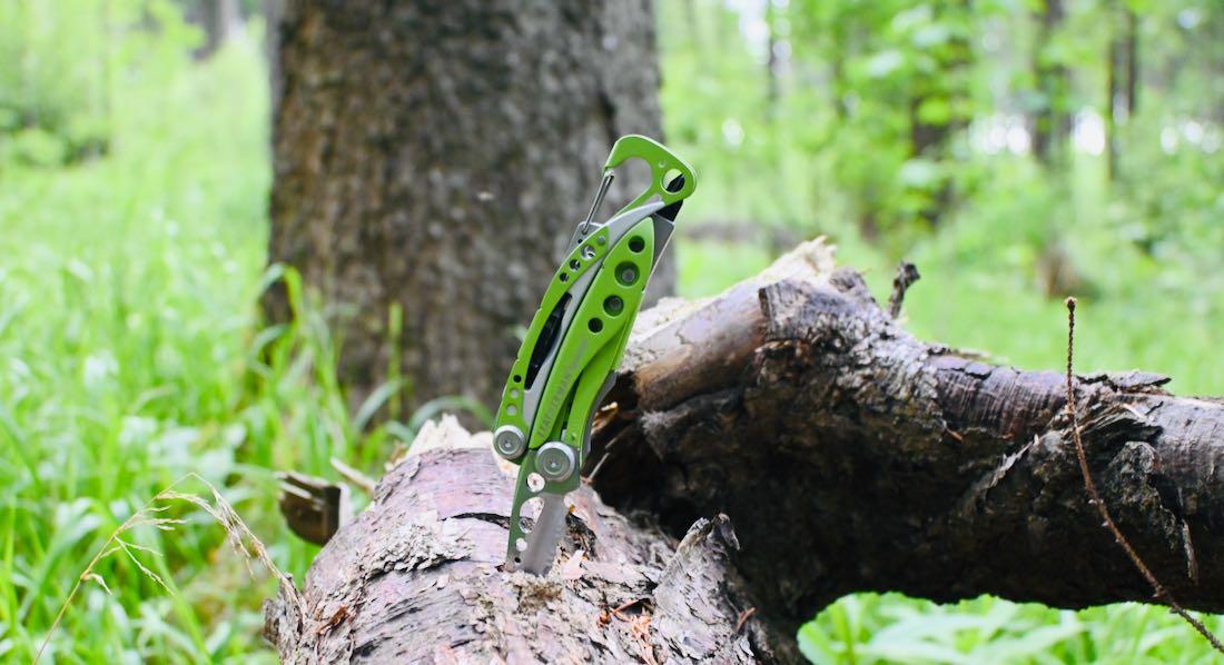 Das Skeletool im Baum