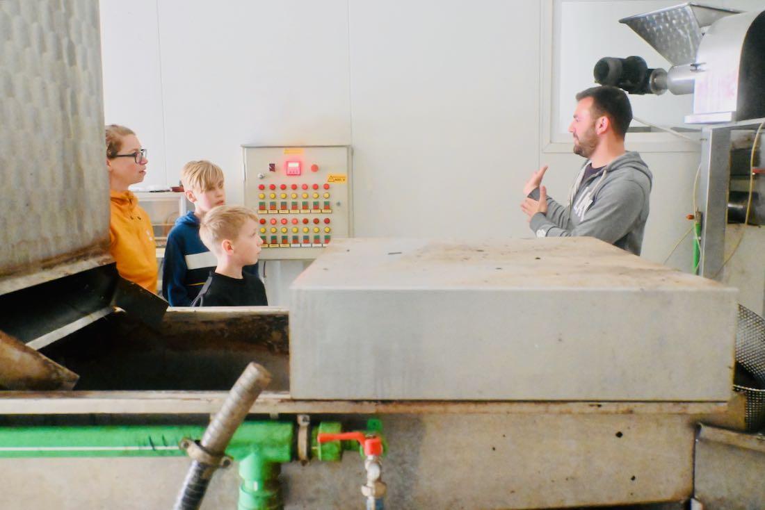 Dimitrios erklärt die Olivenölpresse in Epidavros