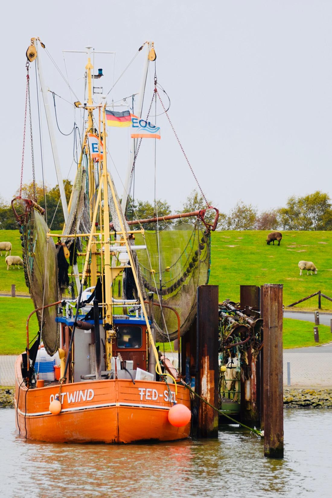 Fischerboot in Nordsee Hafen