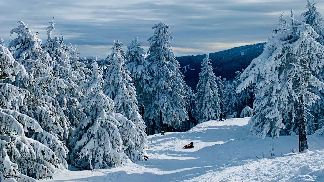 Flo rutscht auf dem Reifen