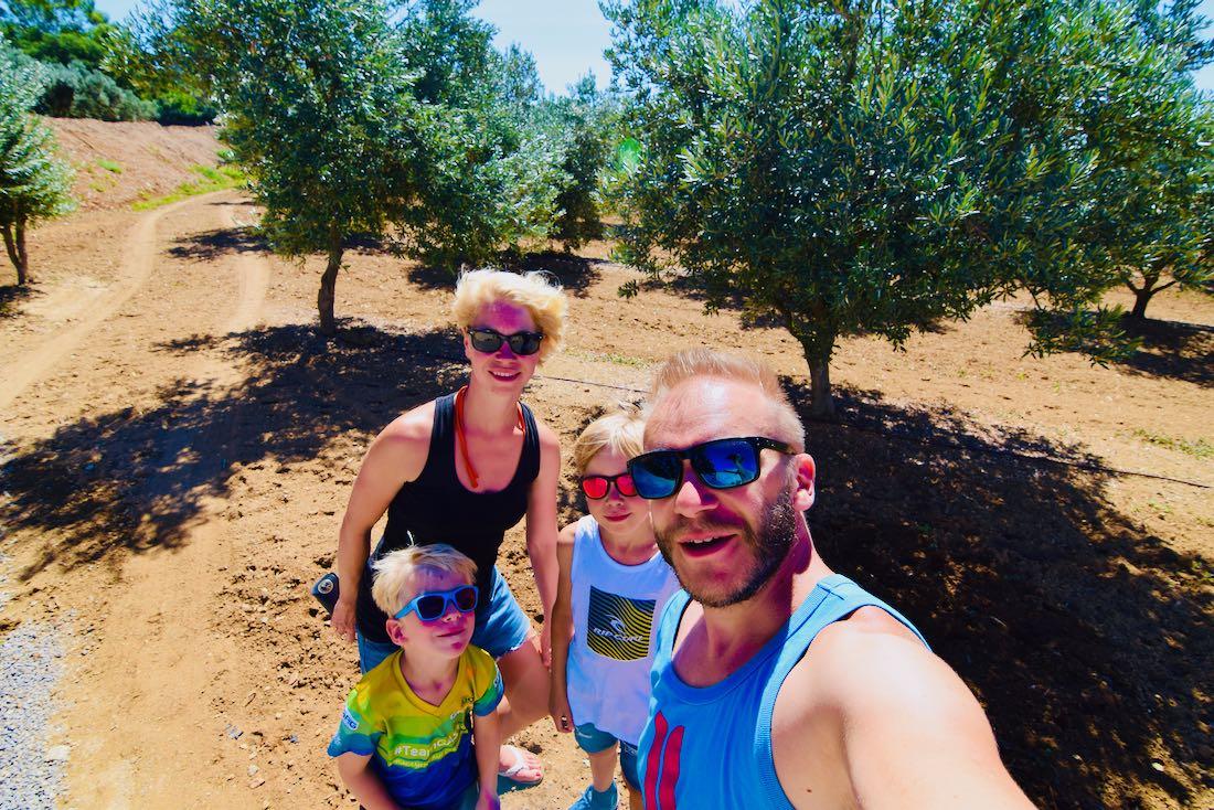 Fravely auf der Domaine La Pierre Plantée in Südfrankreich