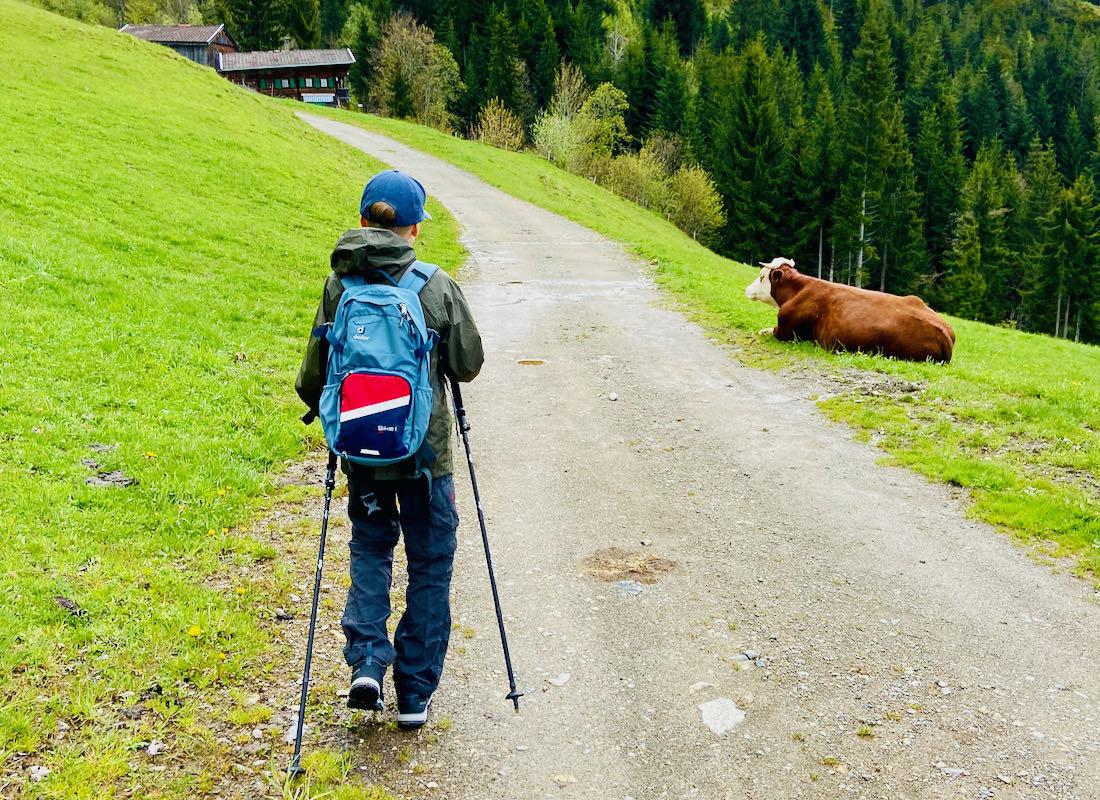 Gipfelsport Faltbare Carbon Wanderstöcke Wandern