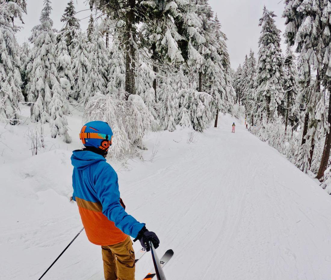 Im verschneiten Wald des Fichtelbergs Ski fahren