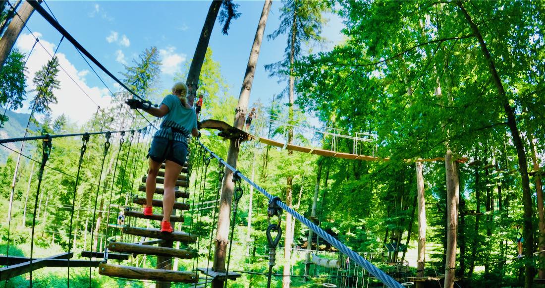 Kletterwald Interlaken in den Bäumen