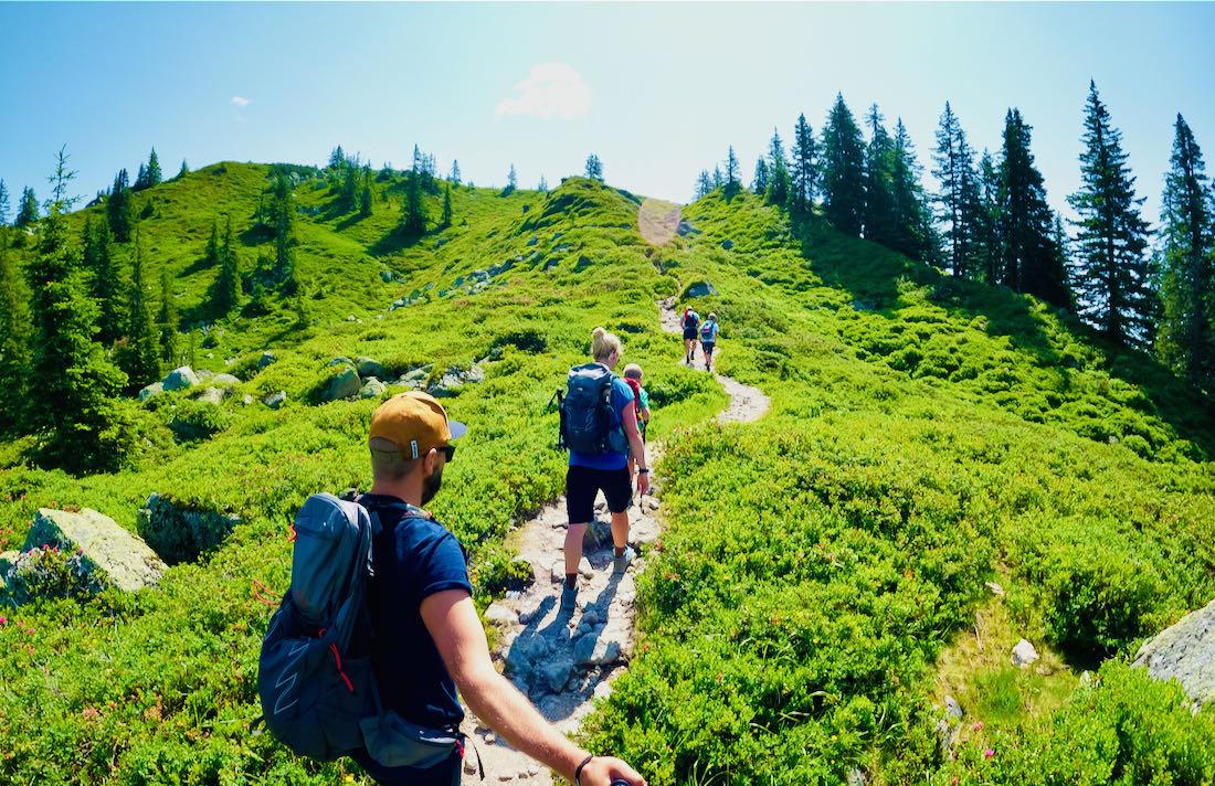 Kurz vor dem Gipfel des Muttjöchle