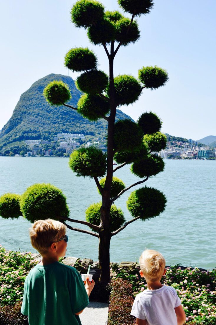 Lugano lustiger Baum