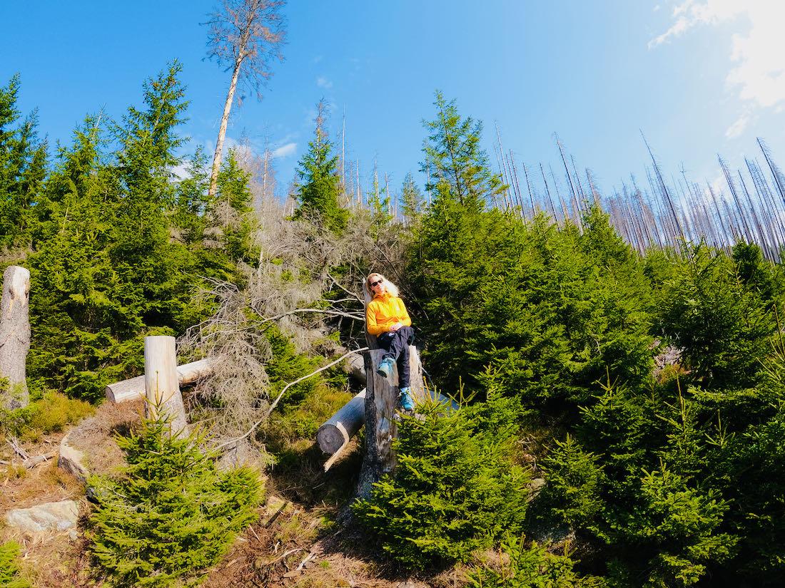 Melanie auf dem Waldthron