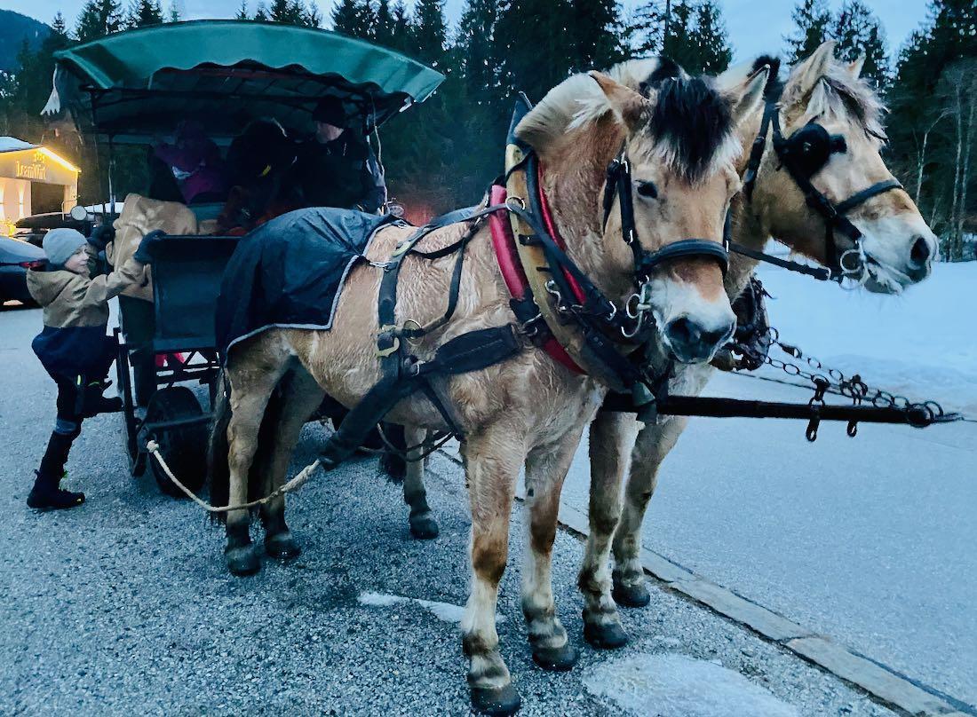 Pferdeschlitten