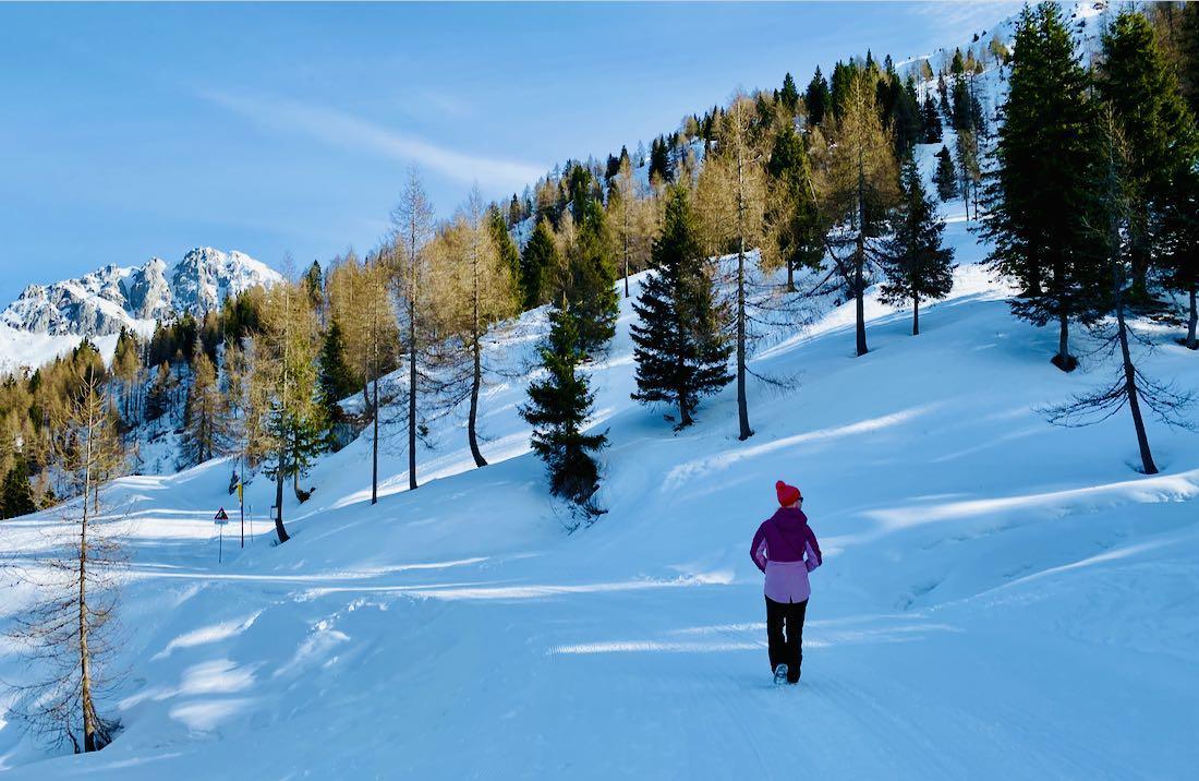 Winterwandern im Nassfeld