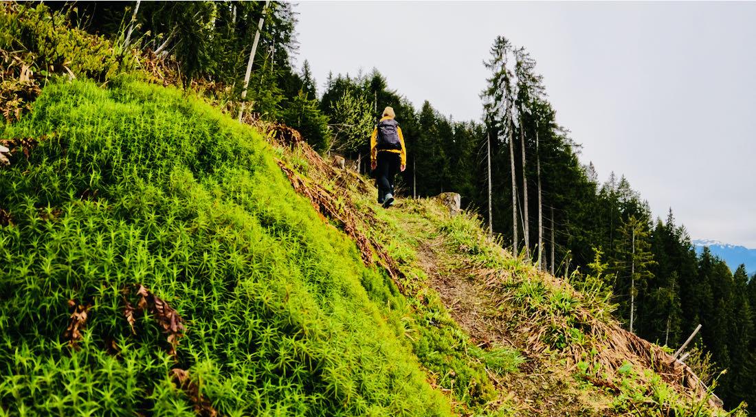Wandern zur Kleinen Salve