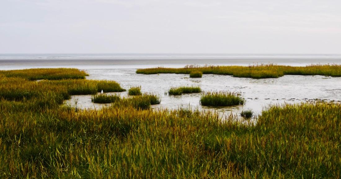 Das Nordsee Wattenmeer