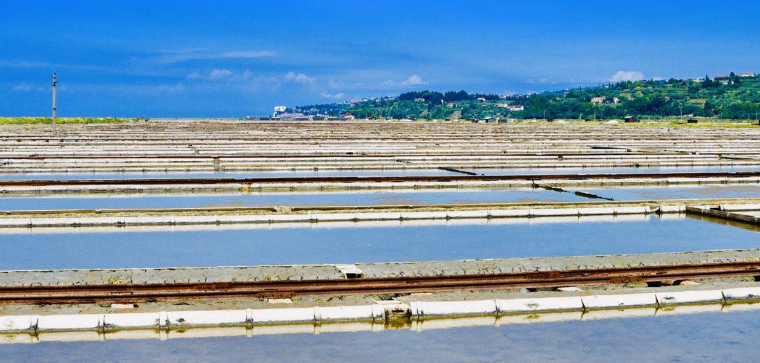 Salz-Salinen in Piran